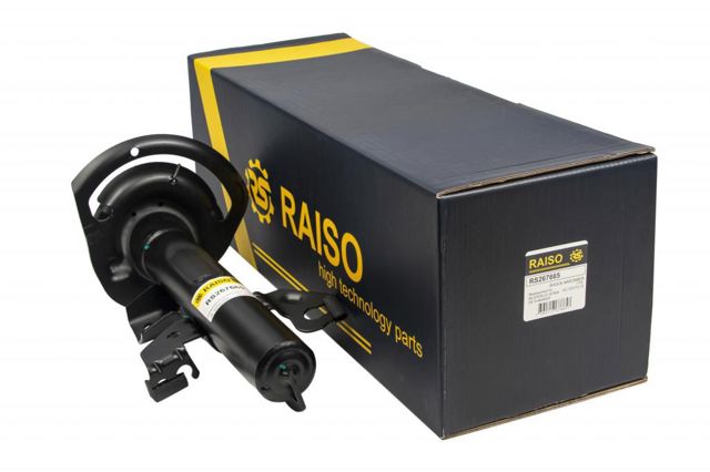 RS267665 Raiso Амортизатор передней подвески правый