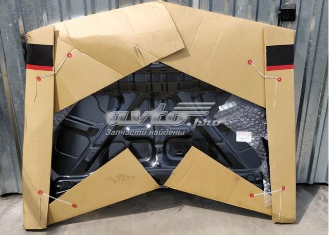 Капот 651009HS0A Nissan/Infiniti