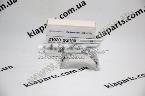 210202g100 hyundai kia