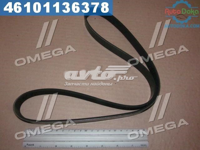 Купить 6PK1059 Dayco Ремень генератора
