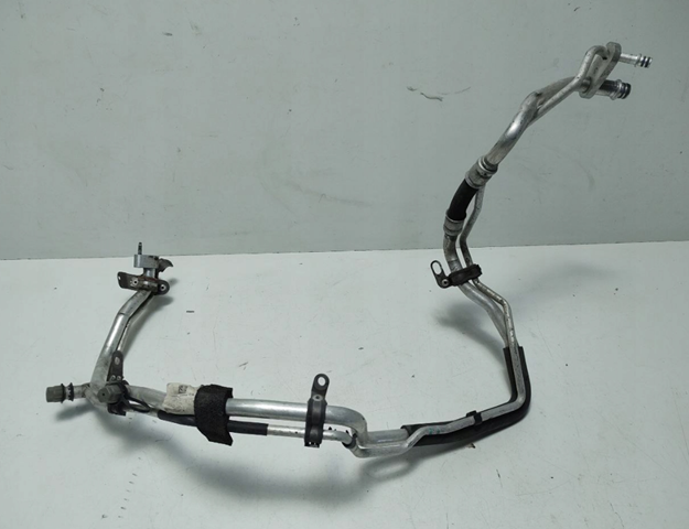 T4A11663 Jaguar 