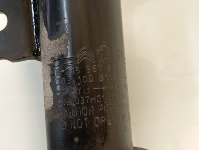Купить 9821596780 Peugeot/Citroen Амортизатор передней подвески