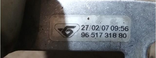 9651731880 Peugeot/Citroen 