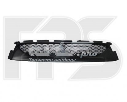 FP4819909 FPS Grelha do radiador