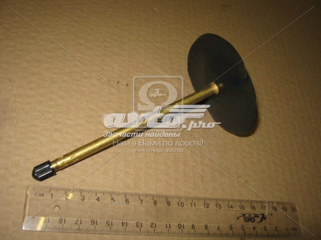 TR444C DK 