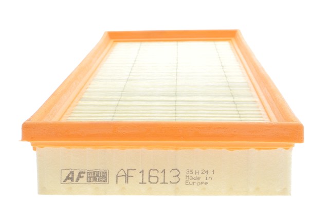 Купить AF1613 Alpha Filter Автомобильный фильтр воздуха