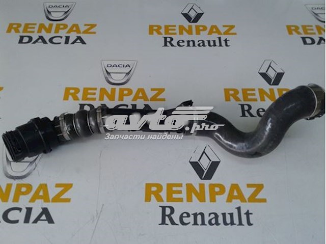 144608356R Renault (RVI) mangueira (cano derivado direita de intercooler)