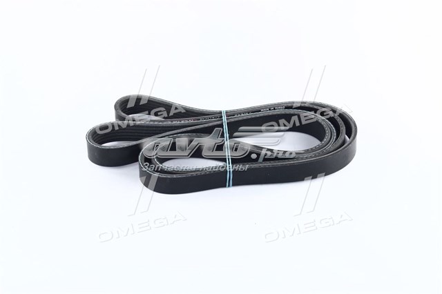 6PK1815 Dongil Поликлиновый ремень