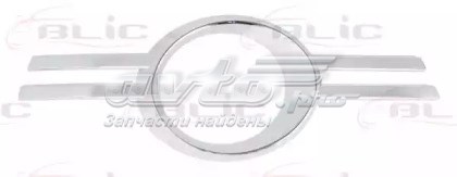 Купить FP4608914 FPS Ободок (окантовка) фары противотуманной правой