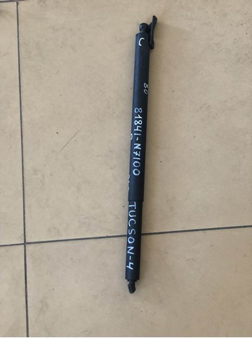 Амортизатор задней двери NTY AEHY057 цена, от 31.20 USD