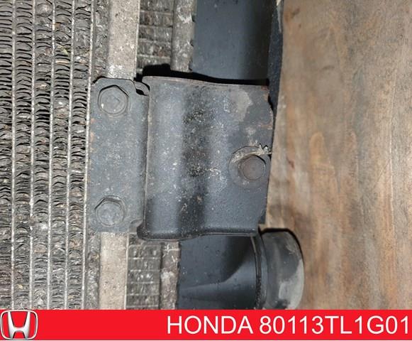  80113TL1G01 Honda