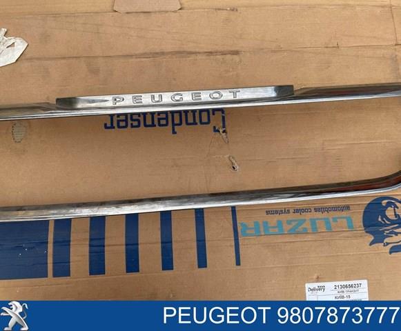 Купить 9807873777 Peugeot/Citroen 