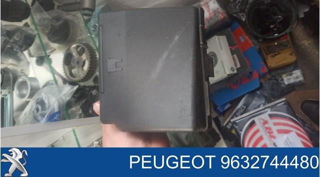 9632744480 Peugeot/Citroen 