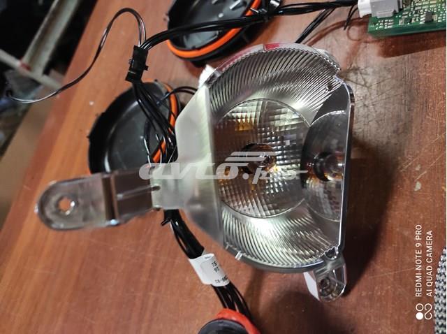 GX6313W029 Jaguar 
