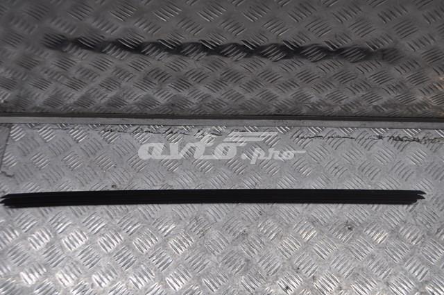 Moldura de puerta delantera izquierda 51137158533 BMW