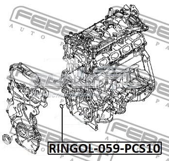 RINGOL059PCS10 Febest 