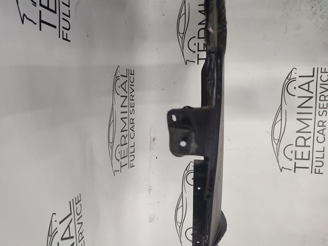 Купить 110083800C Tesla Защита днища задняя