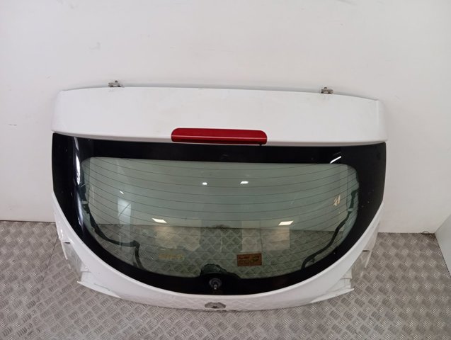 901001260R Renault (RVI) Задняя дверь