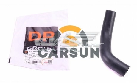  DP Group CS22583