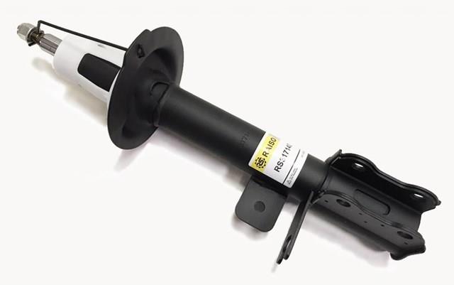 Амортизатор задний, правый Raiso RS317140 цена, от 31.92 USD