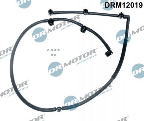 DRM12019 Dr.motor 