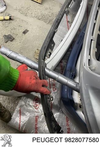 Купить 9828077580 Peugeot/Citroen 