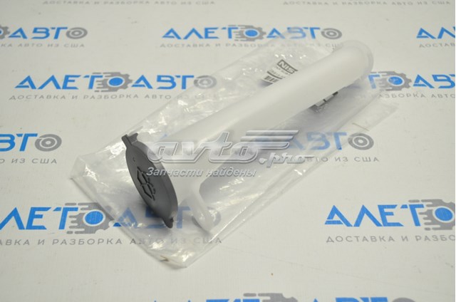 289155AA0A Nissan/Infiniti Горловина бачка омывателя