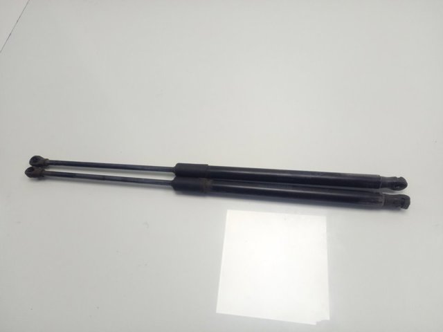 Газовый упор багажника Renault (RVI) 904508213R