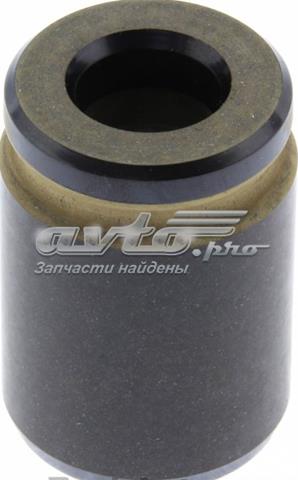 D670027 Dorman 