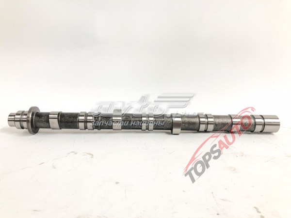 Árbol de levas escape TAH1000 TOPSAUTO