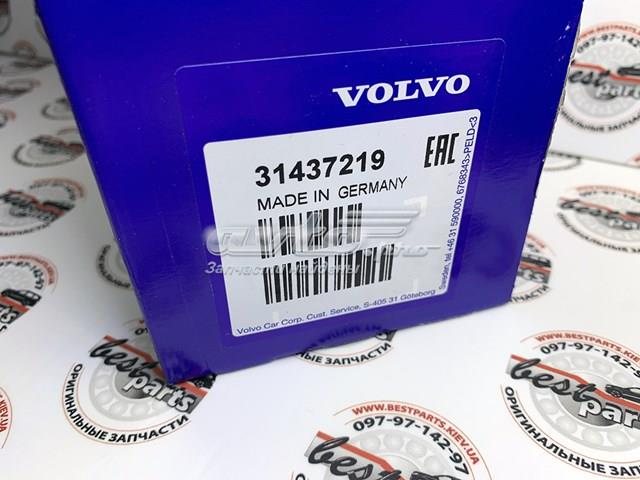 Купить 31437219 Volvo Пыльник гранаты наружный, передний