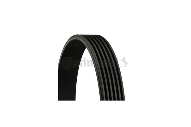 Клиновый ремень Continental/Siemens 6PK1244 цена, от 14.62 USD