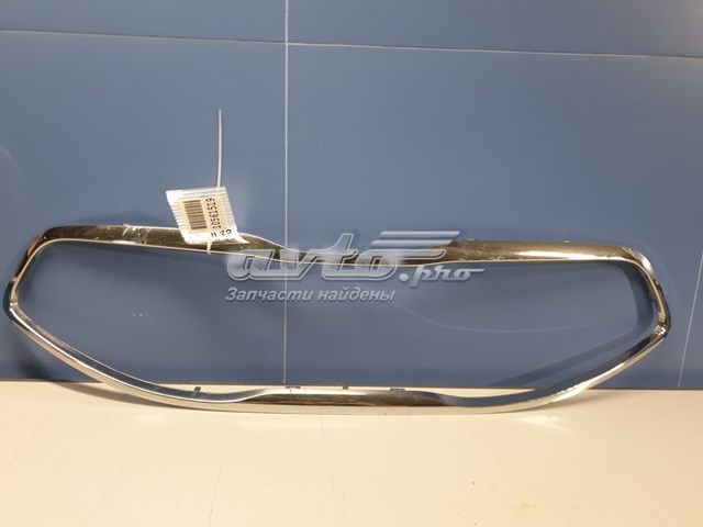 863521P500 Hyundai/Kia 