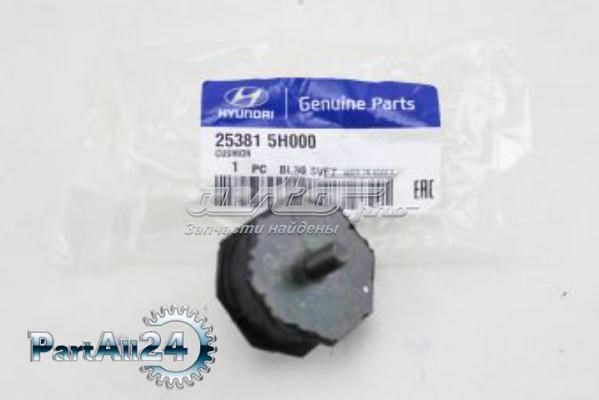  Hyundai/Kia 253815H000