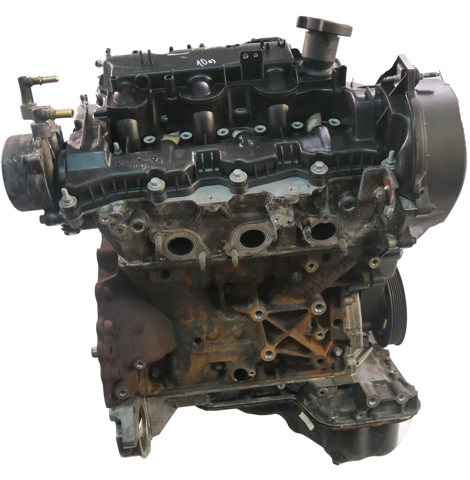 JDE7843 Jaguar 