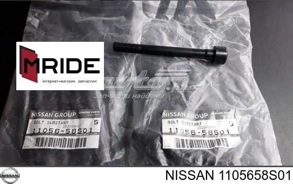 1105658S01 Nissan/Infiniti 
