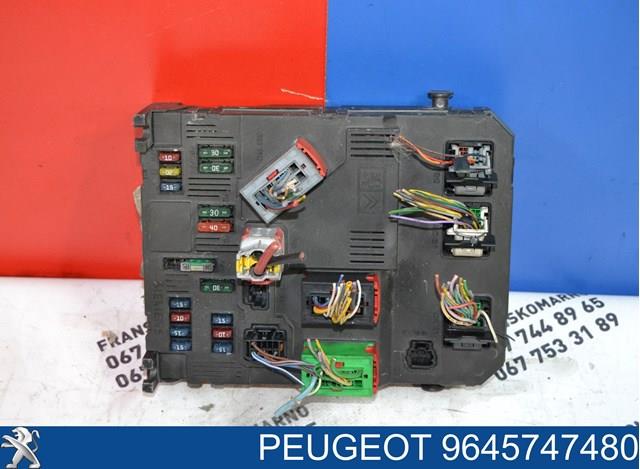9645747480 Peugeot/Citroen 