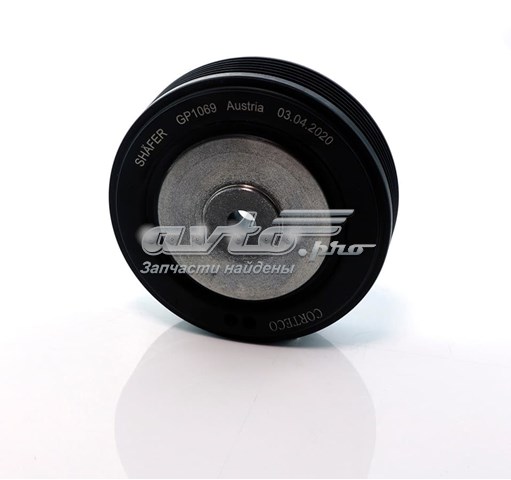 GP1069 Shafer Polia de cambota