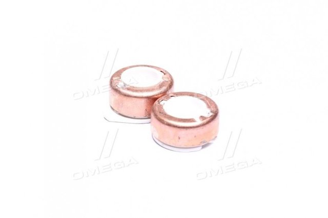 Colector de rotor de alternador 131219 CARGO