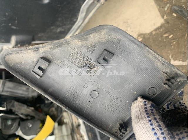 9634563177 Peugeot/Citroen 