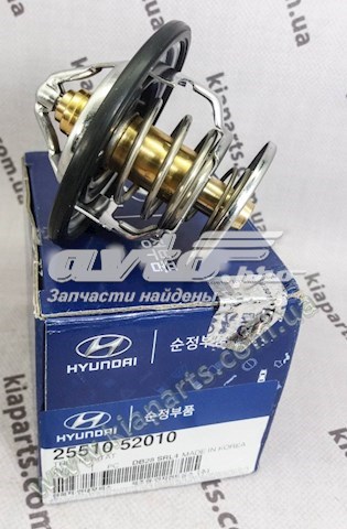 2551052010 Hyundai/Kia 