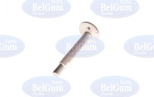 Купить BG2028 Belgum Болт нижнего рычага