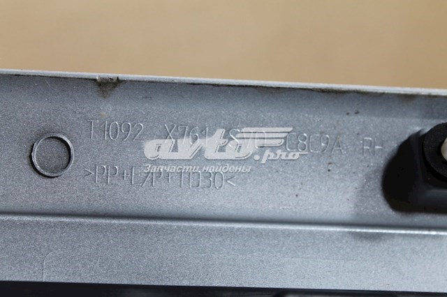 T4A3869 Jaguar 