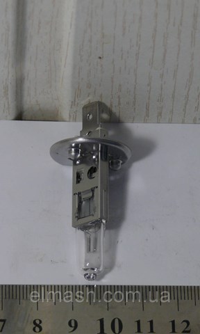 Купить H124V100W Tempest Лампочка галогенная