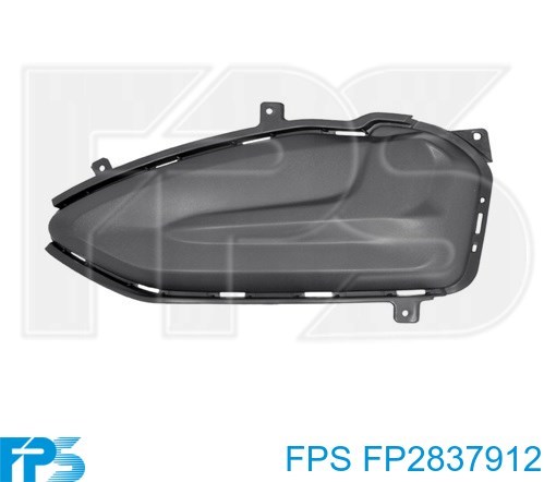  FPS FP2837912