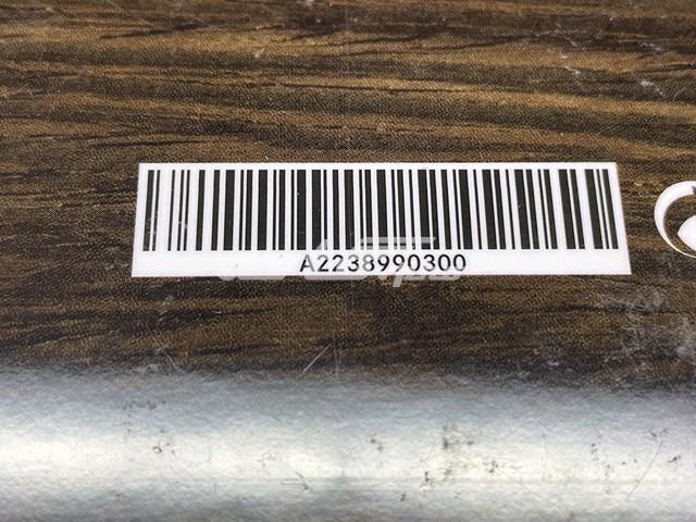 A2238990300 Mercedes 