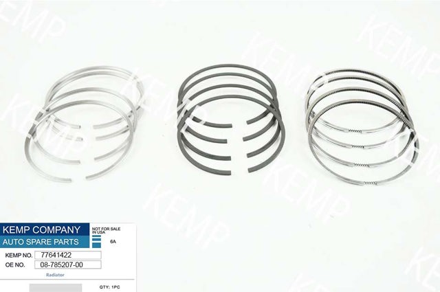 Купить 9213250 NE/NPR Комплект поршневых колец на 1 цилиндр, 2-й ремонт (+0,50)