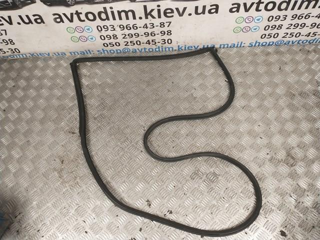 Junta de puerta trasera izquierda (en puerta) 72850S4N003 HONDA