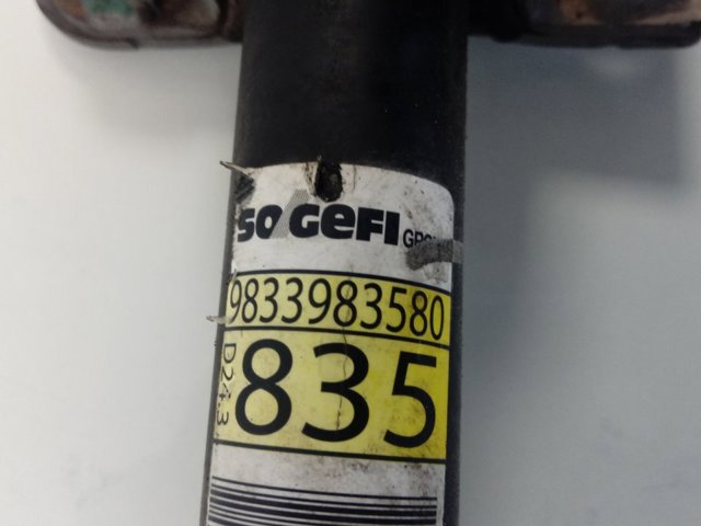  Peugeot/Citroen 9833983580
