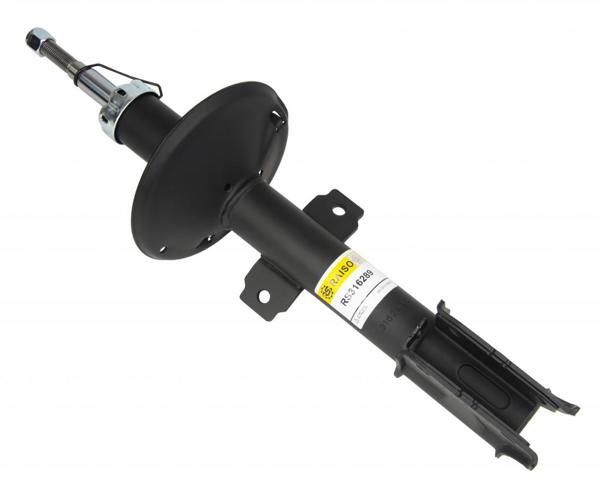 Амортизатор передний RS316289 Raiso